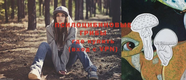 спайс Баксан