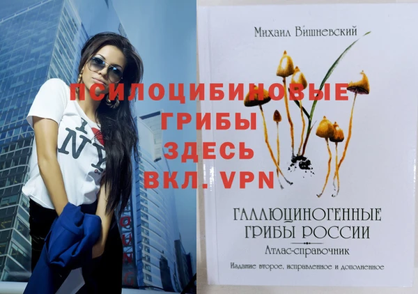 MDMA Premium VHQ Балахна