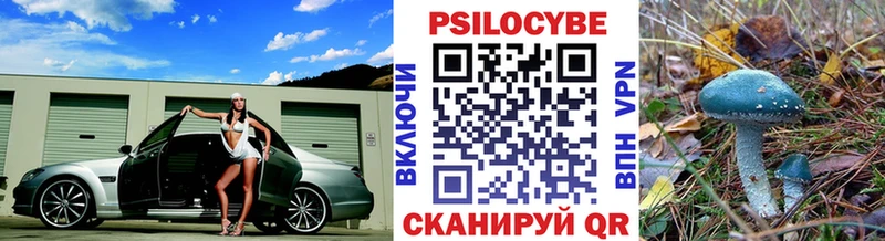 Галлюциногенные грибы Psilocybe Новоалтайск
